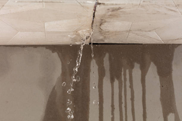 Professional Water Damage Inspection technician working in El Campo, TX